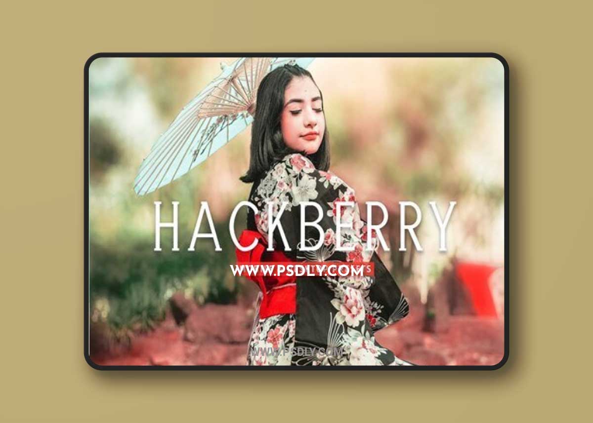 CreativeMarket - Hackberry Pro Lightroom Presets 7473581