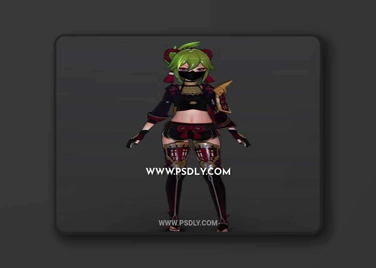 Genshin Impact - Kuki Shinobu and Kunoichi 3D Print