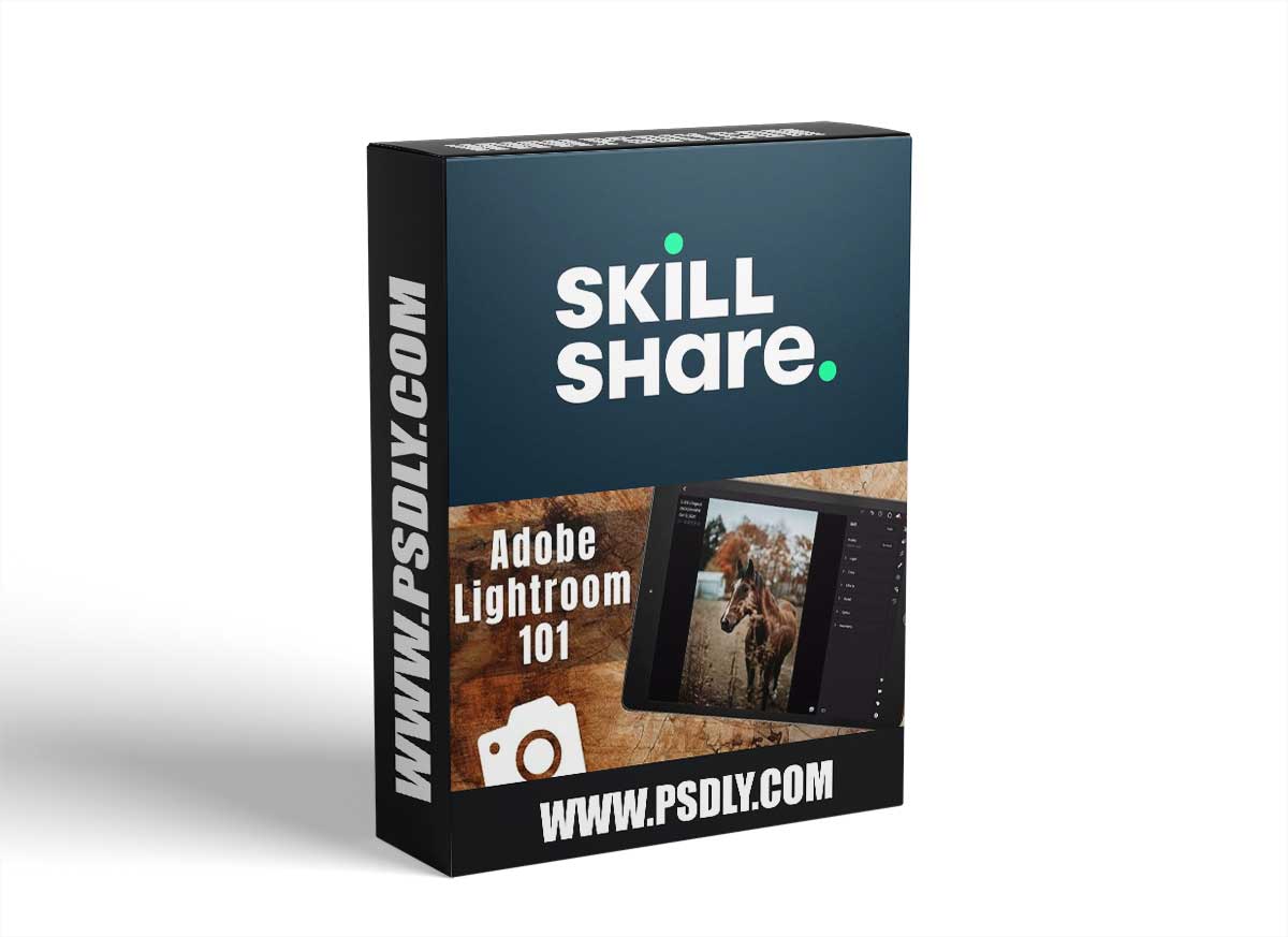Learn Lightroom on Your iPad: How to edit professional photos