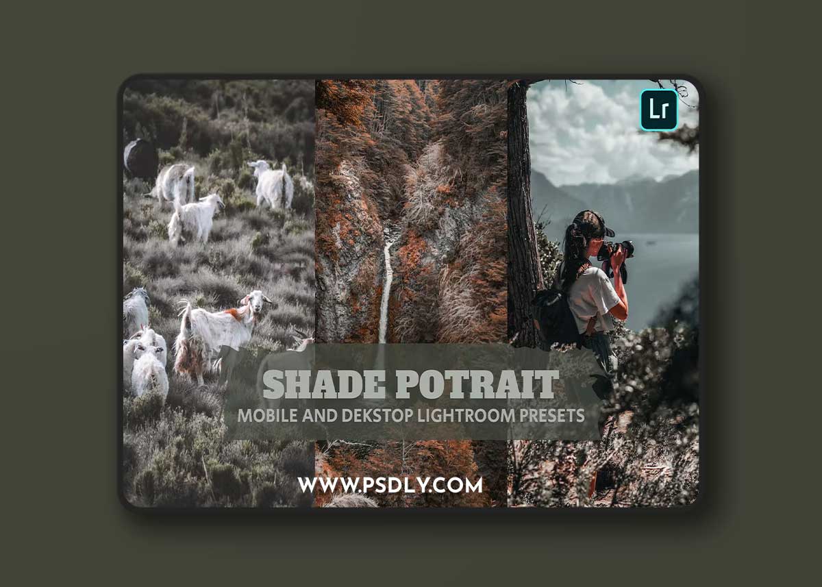 Shade Potrait Lightroom Presets Dekstop and Mobile GWWBPWF