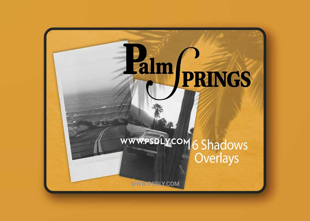 CreativeMarket - PALM SPRING | SHADOW OVERLAYS 7807140
