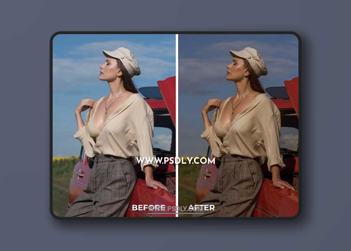 David Dubnitskiy - Color Stories Presets Collection