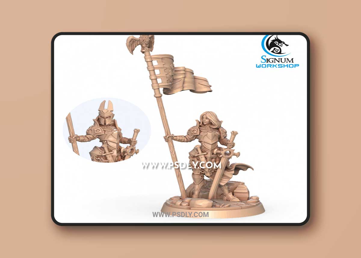 Rena Scilia the Standard Bearer 3D Print