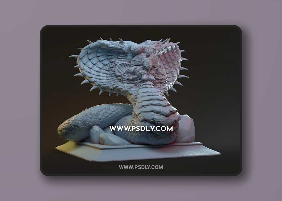 Sisters of the Dawn - Selestia him 3D Print