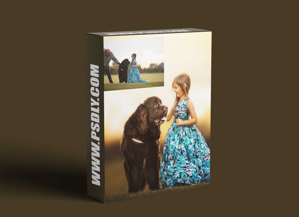 Sweet Soul Studio - Morse The Pooch