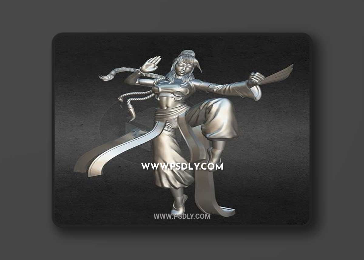 Sword and Sorcery - Shakiko (Monk Hero) 3D Print