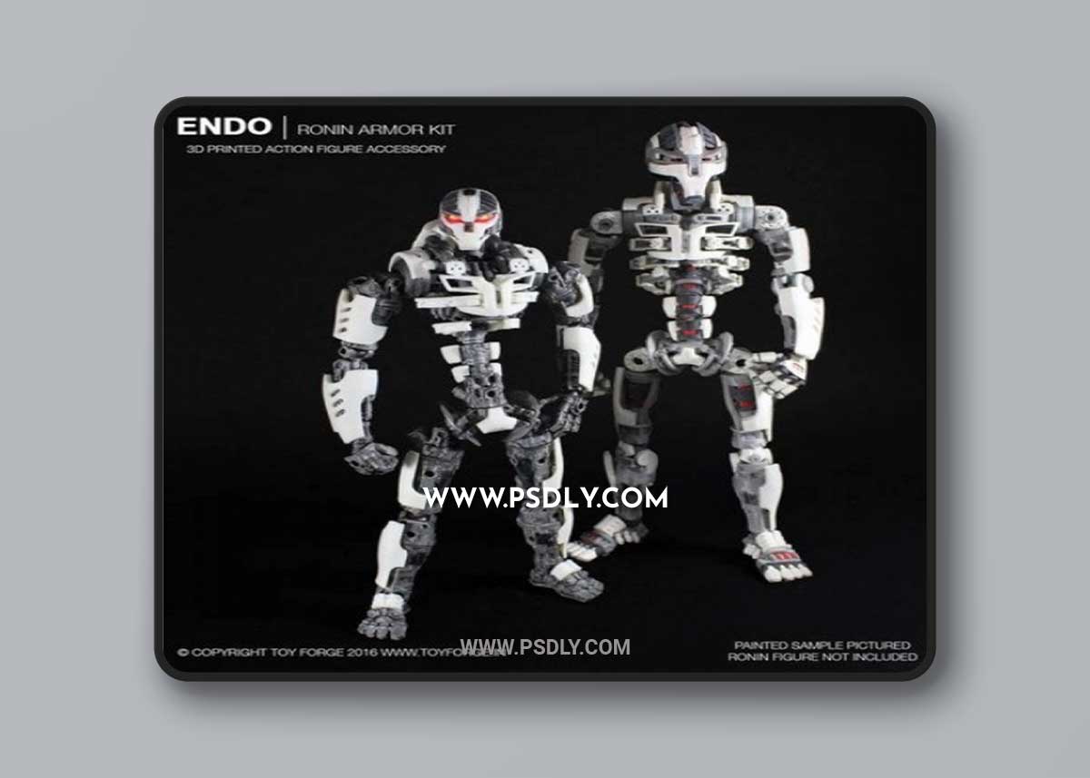 Toy Forge - Endo V2 + Ronin Armor