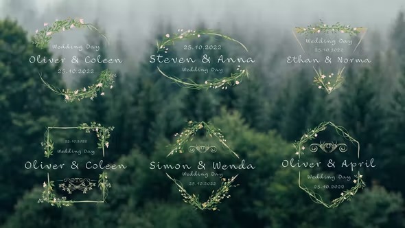 Videohive Wedding Titles 39827968