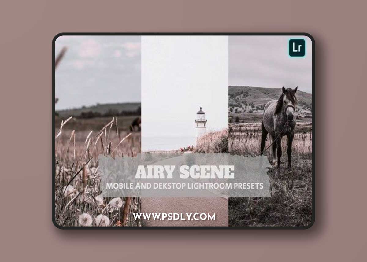 Airy Scene Lightroom Presets Dekstop and Mobile
