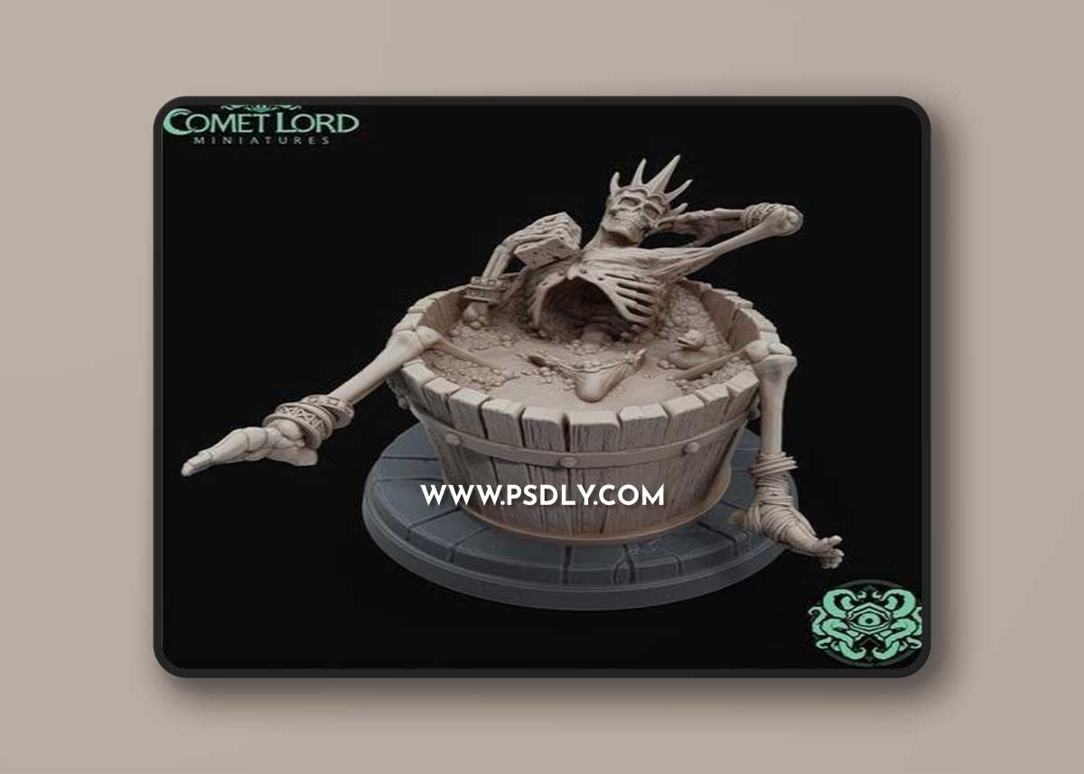 Comet Lord Miniatures - Stupid Sexy Lich 3D Print