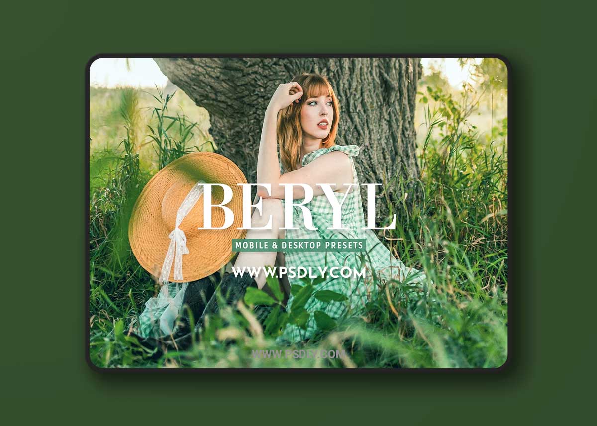 CreativeMarket - Beryl Pro Lightroom Presets 10243234