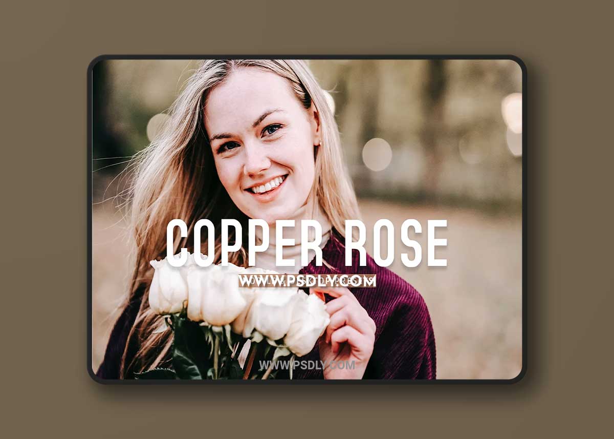 CreativeMarket - Copper Rose Pro Lightroom Presets 10243235