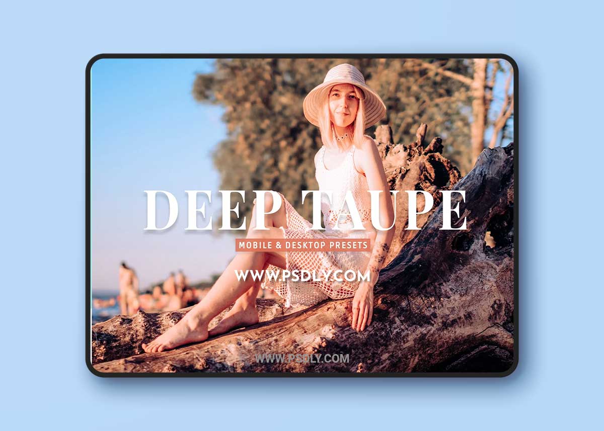 CreativeMarket - Deep Taupe Pro Lightroom Presets 10243236