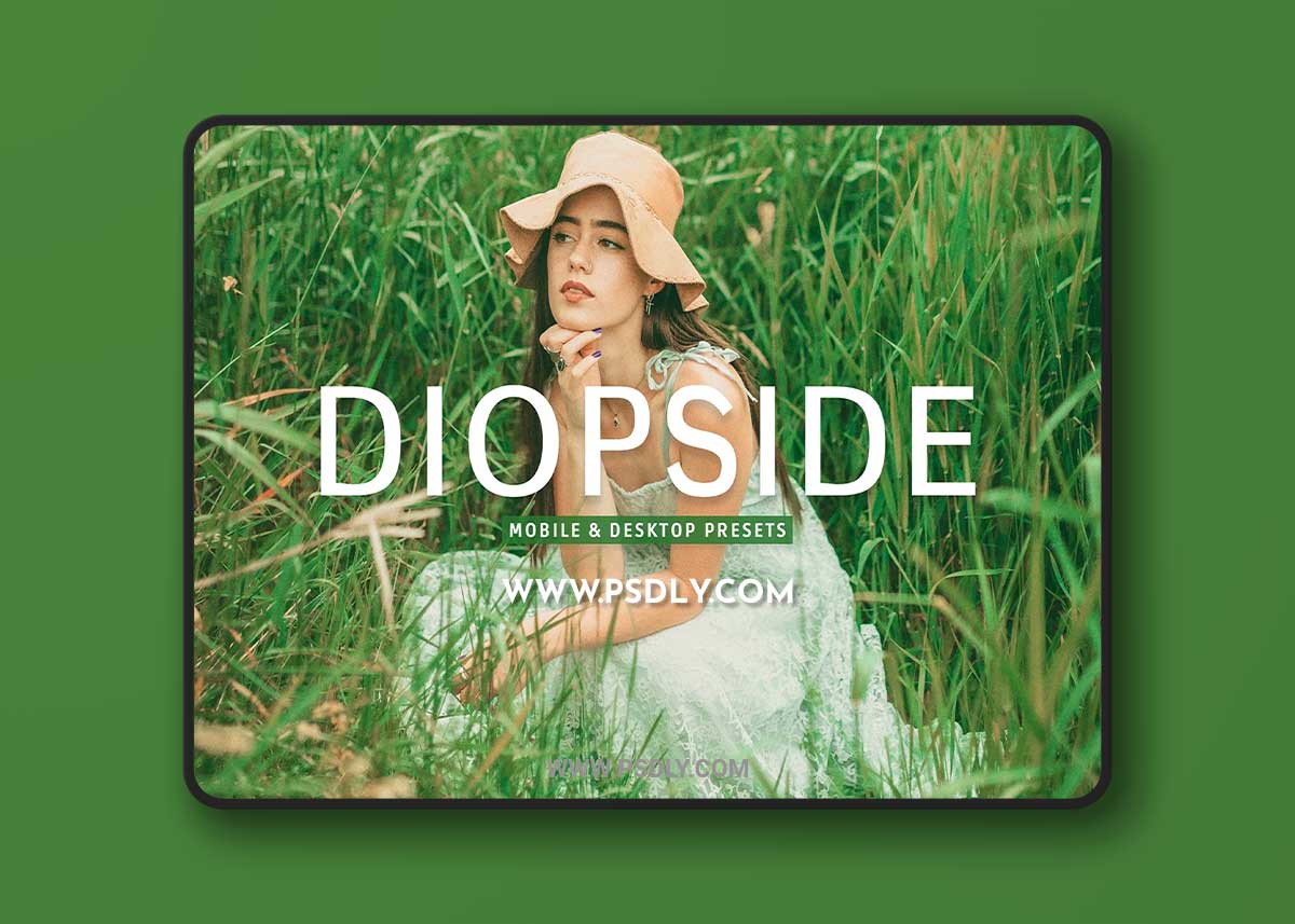 CreativeMarket - Diopside Pro Lightroom Presets 10243238