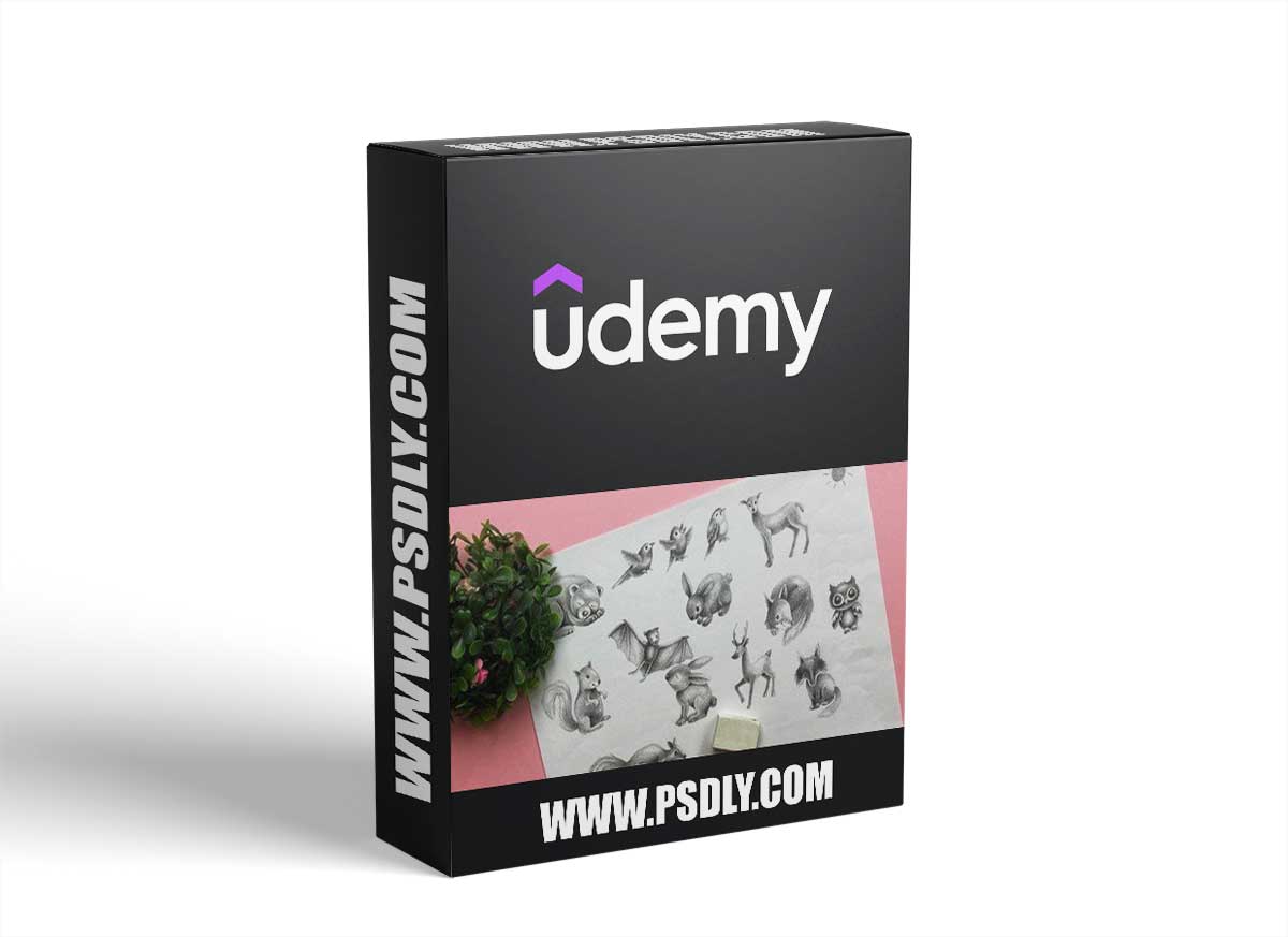 Draw in 60 Seconds: Woodland Animals