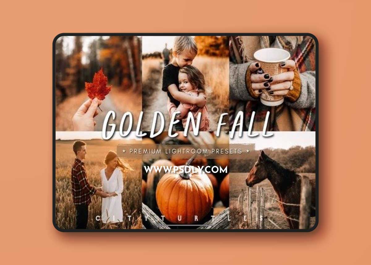 GOLDEN FALL Rustic Warm Lightroom Presets
