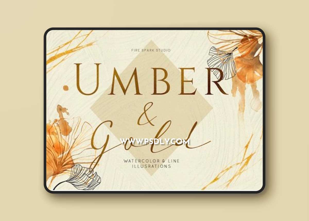 Ginkgo Leaf Watercolor Illustrations ZU58WH3