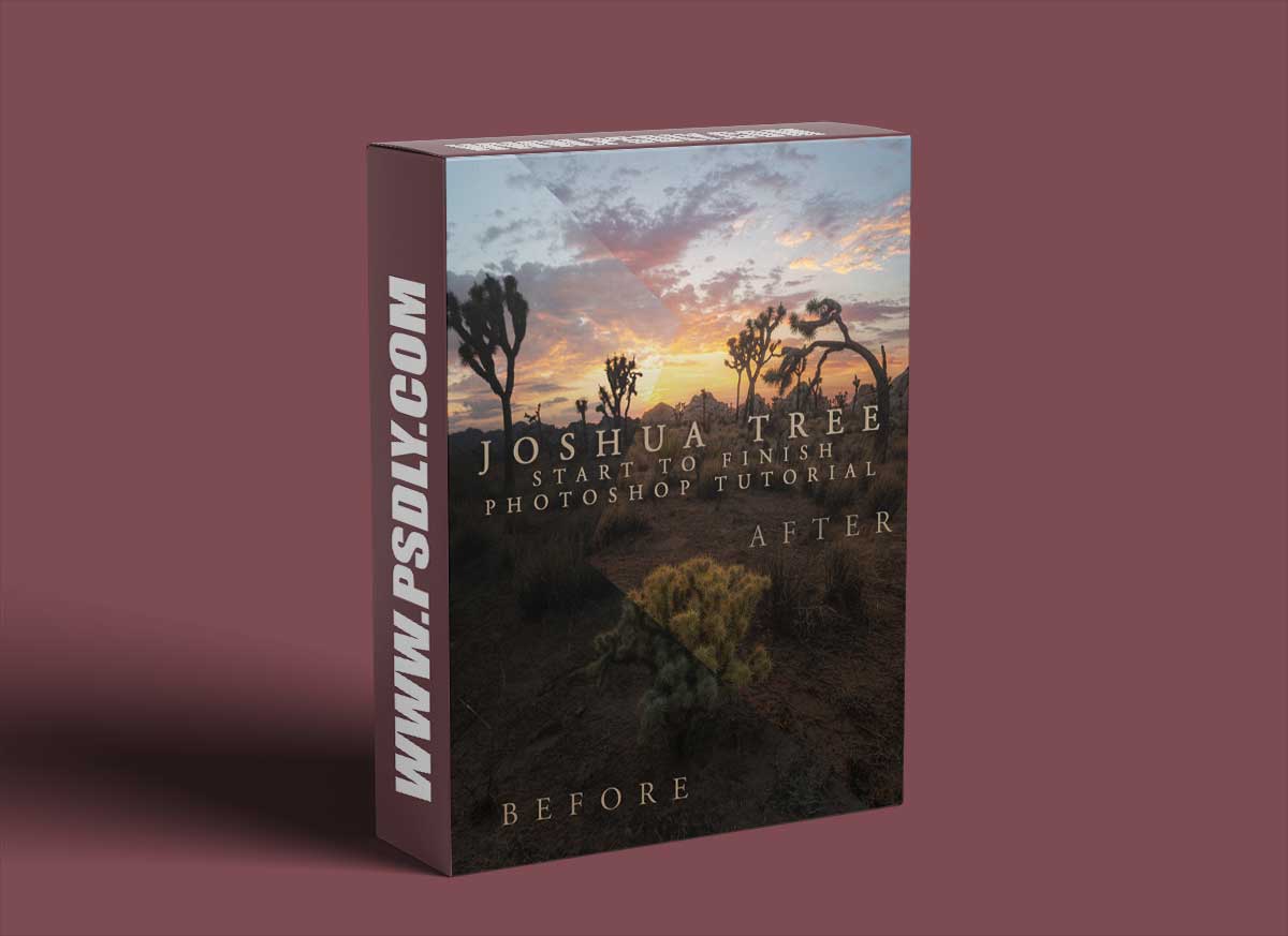 Joshua Tree Start to Finish