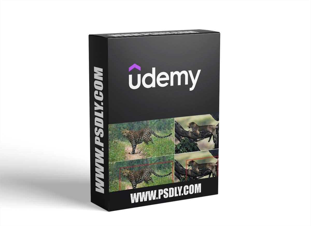 Object Detection on Custom Dataset With Keras Using Python