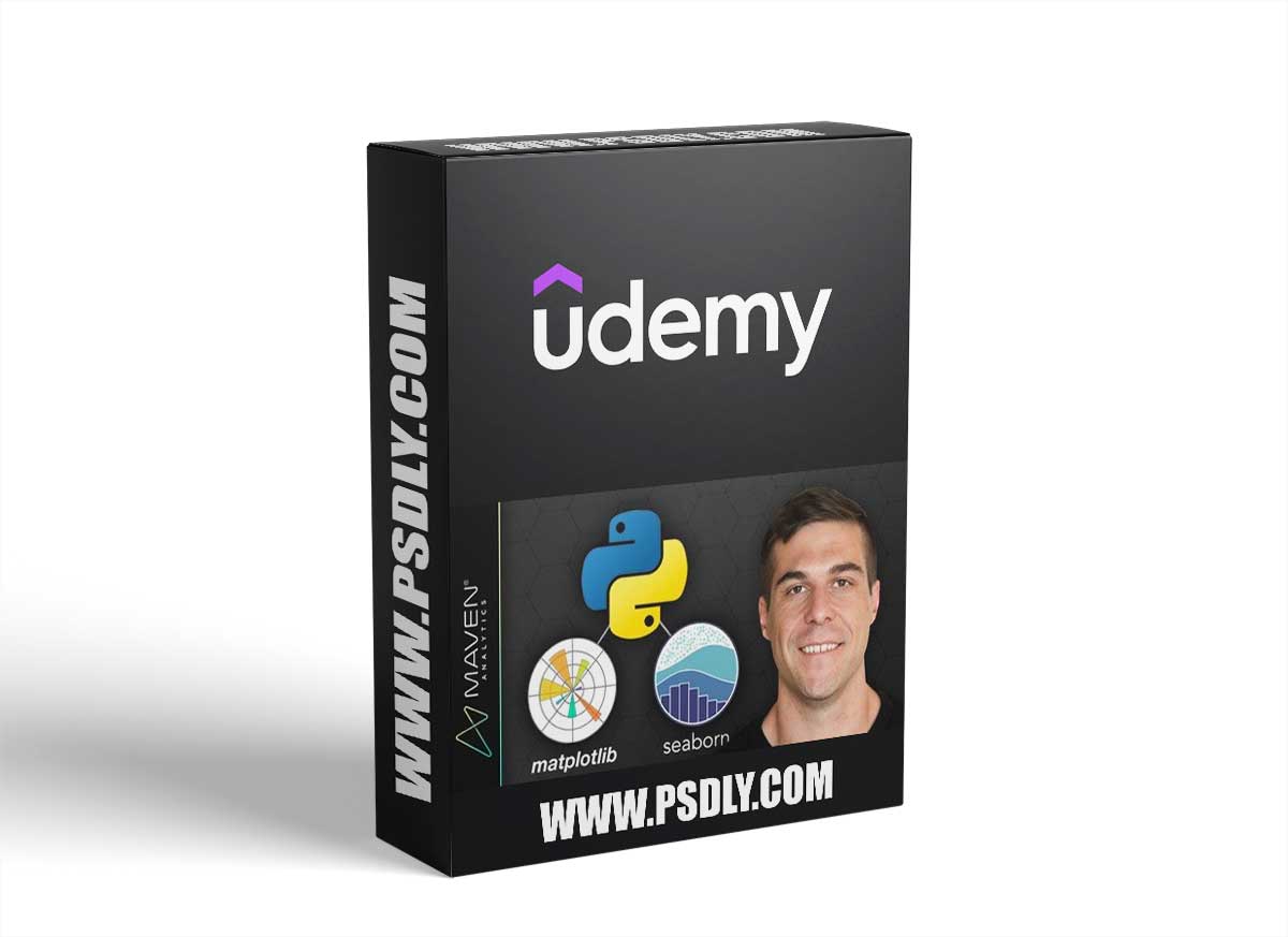 Python Data Visualization: Matplotlib & Seaborn Masterclass