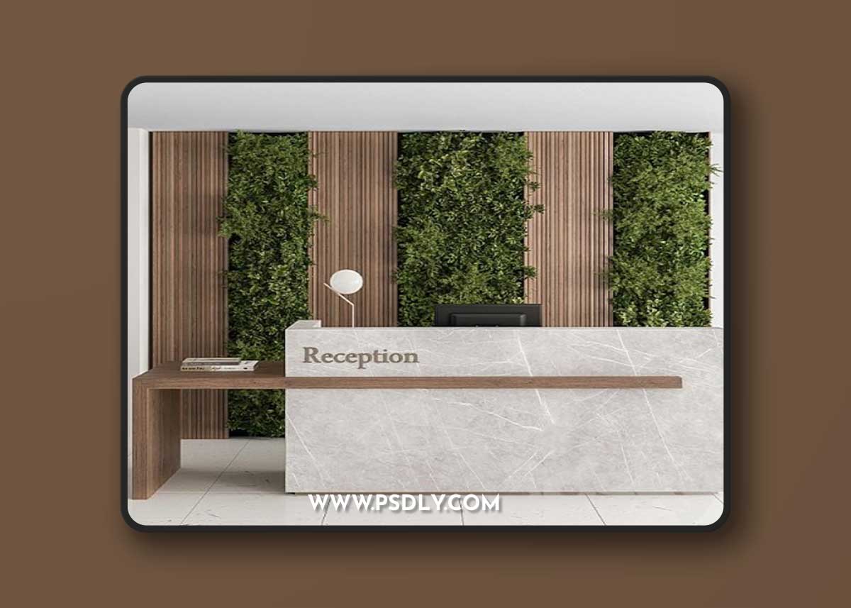 Reception Desk and Wall Decor with vertical Garden – Office Set 238