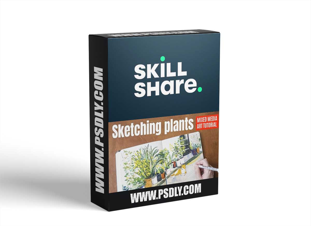 Sketching Plants with Mixed Media Art Supplies