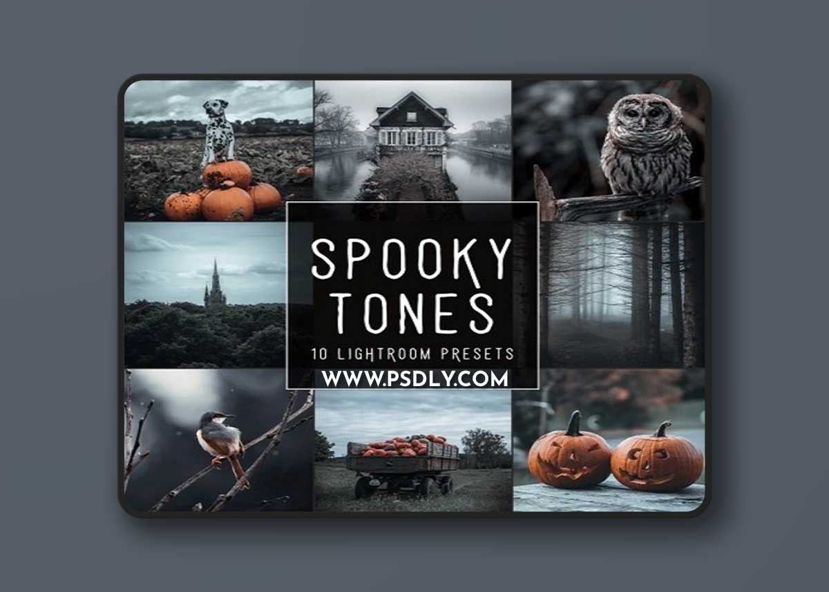 Woodland - Spooky Tones LIMITED Lightroom Presets Pack