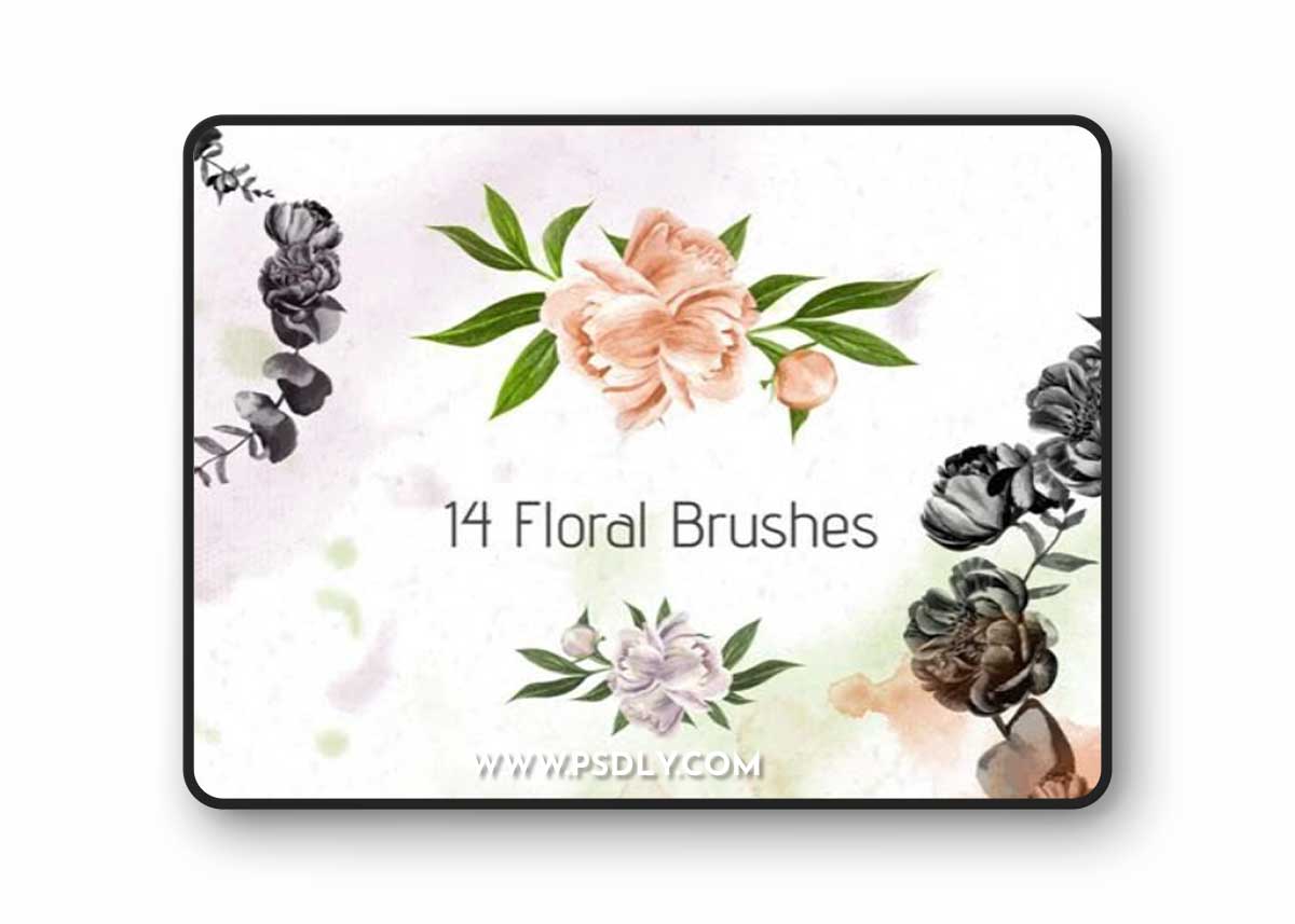 150+ Multipurpose Brushes for Photoshop