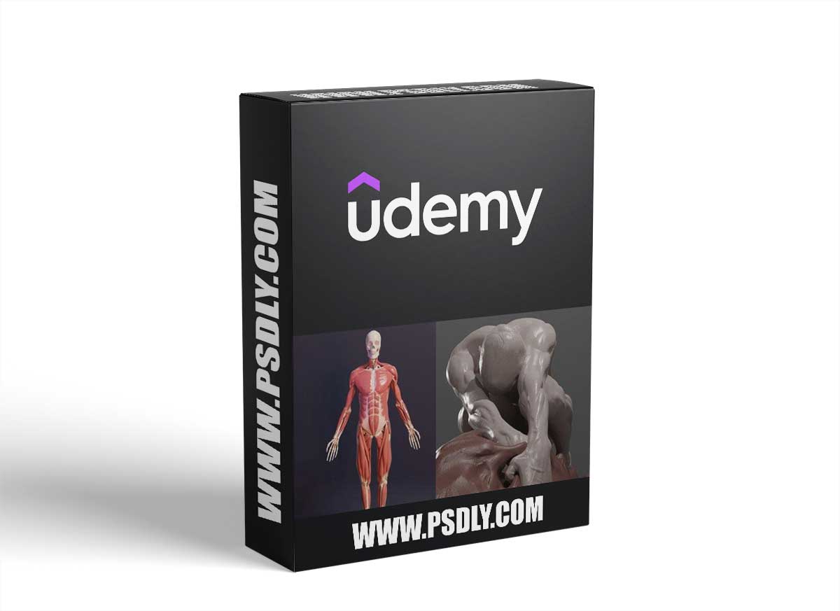 3D Anatomy: Sculpting In Blender: Master The Human Figure