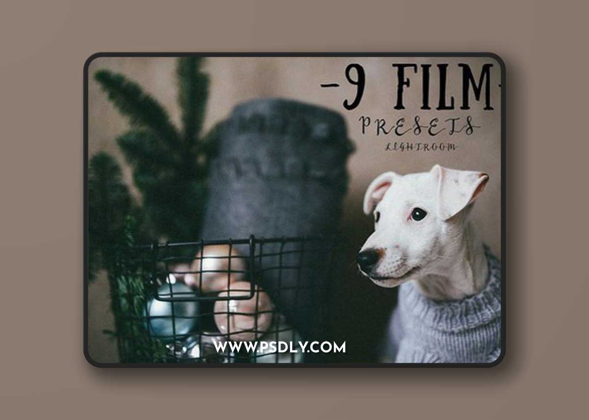 9 FILM presets for lightroom