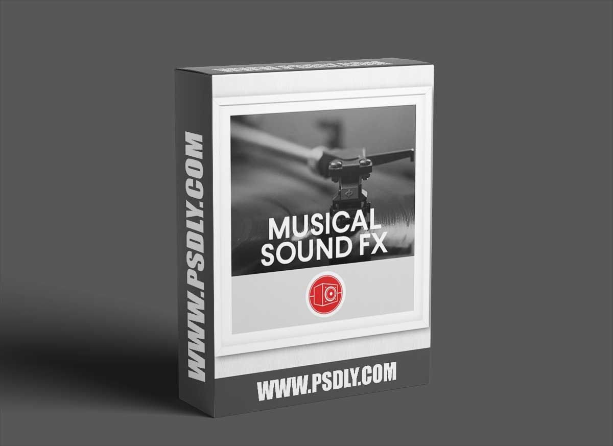 Big Room Sound Musical Sound Effects WAV-FANTASTiC