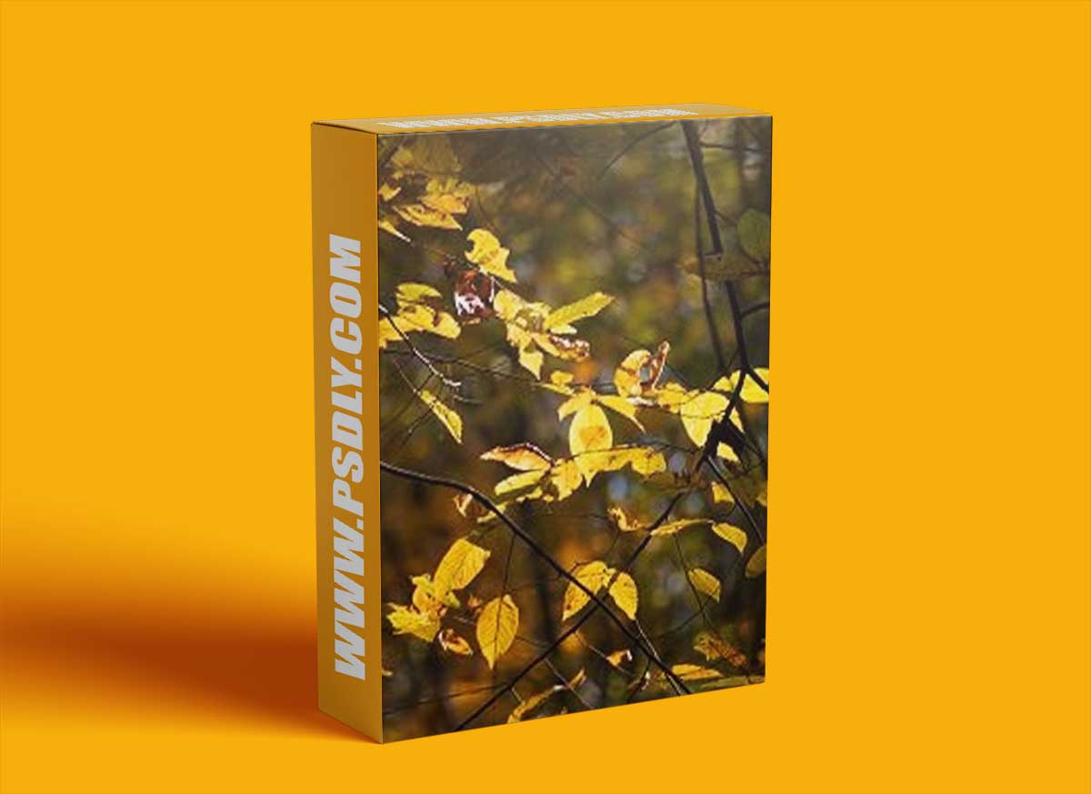 Craftsy - Long Lens Landscape Photography