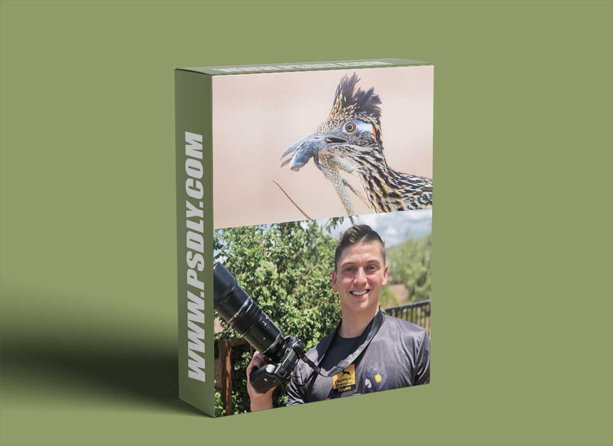 CreativeLive - Beginner's Guide to Bird Photography