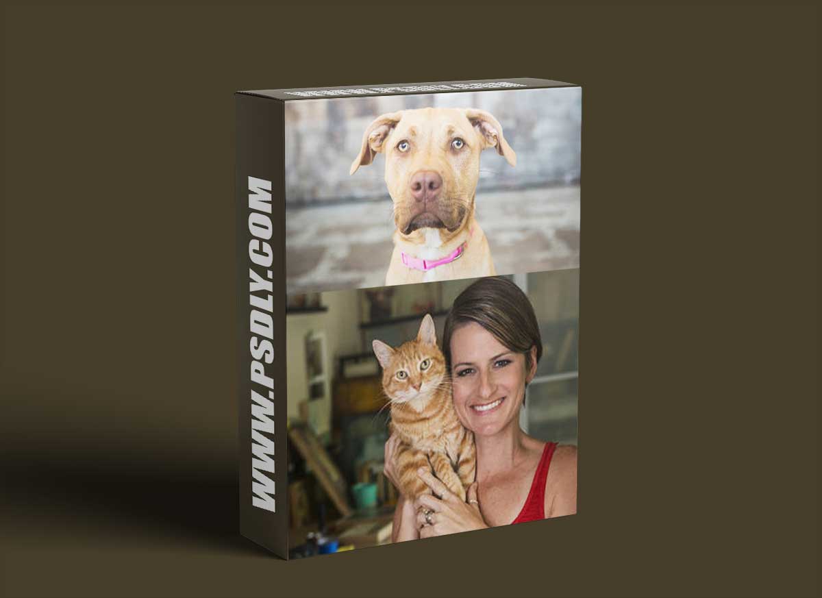 CreativeLive - Integrating Animal Photography into your Business