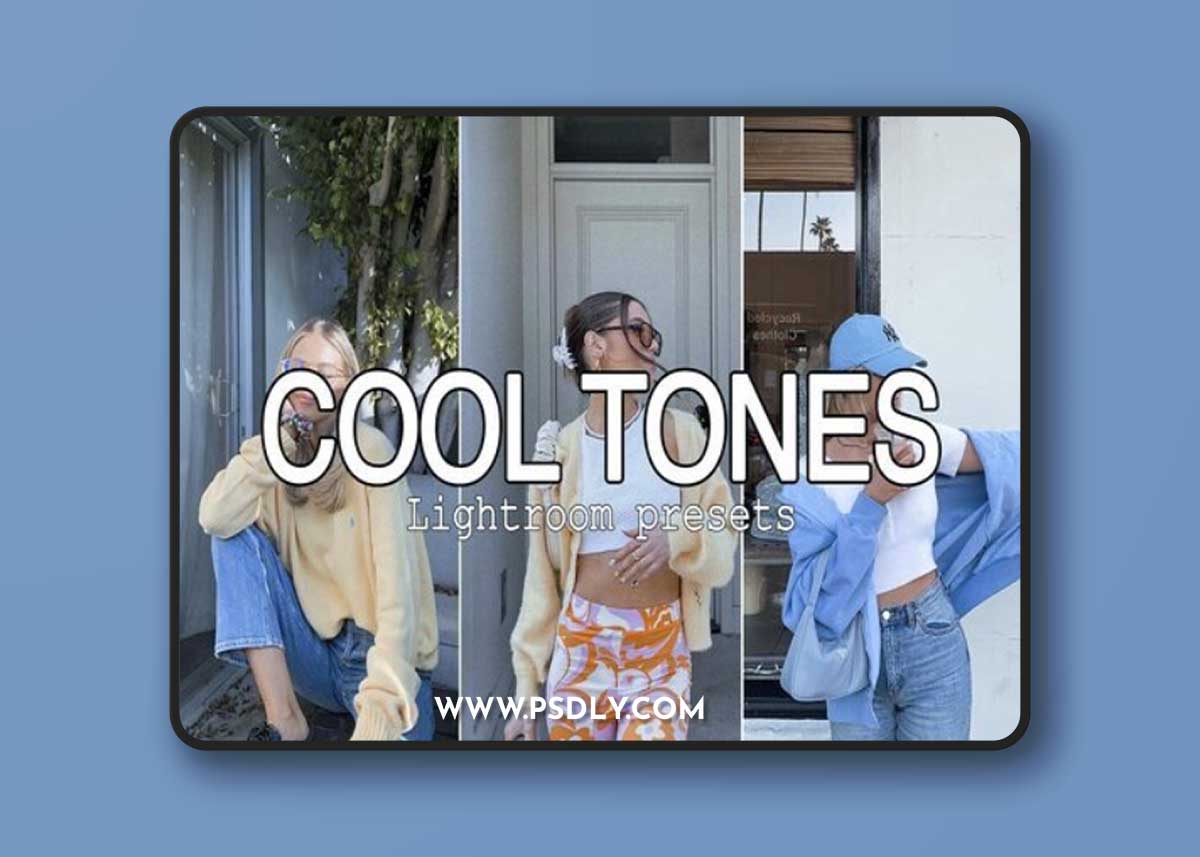 CreativeMarket - 6 Cool Tones Lightroom Presets 10285629
