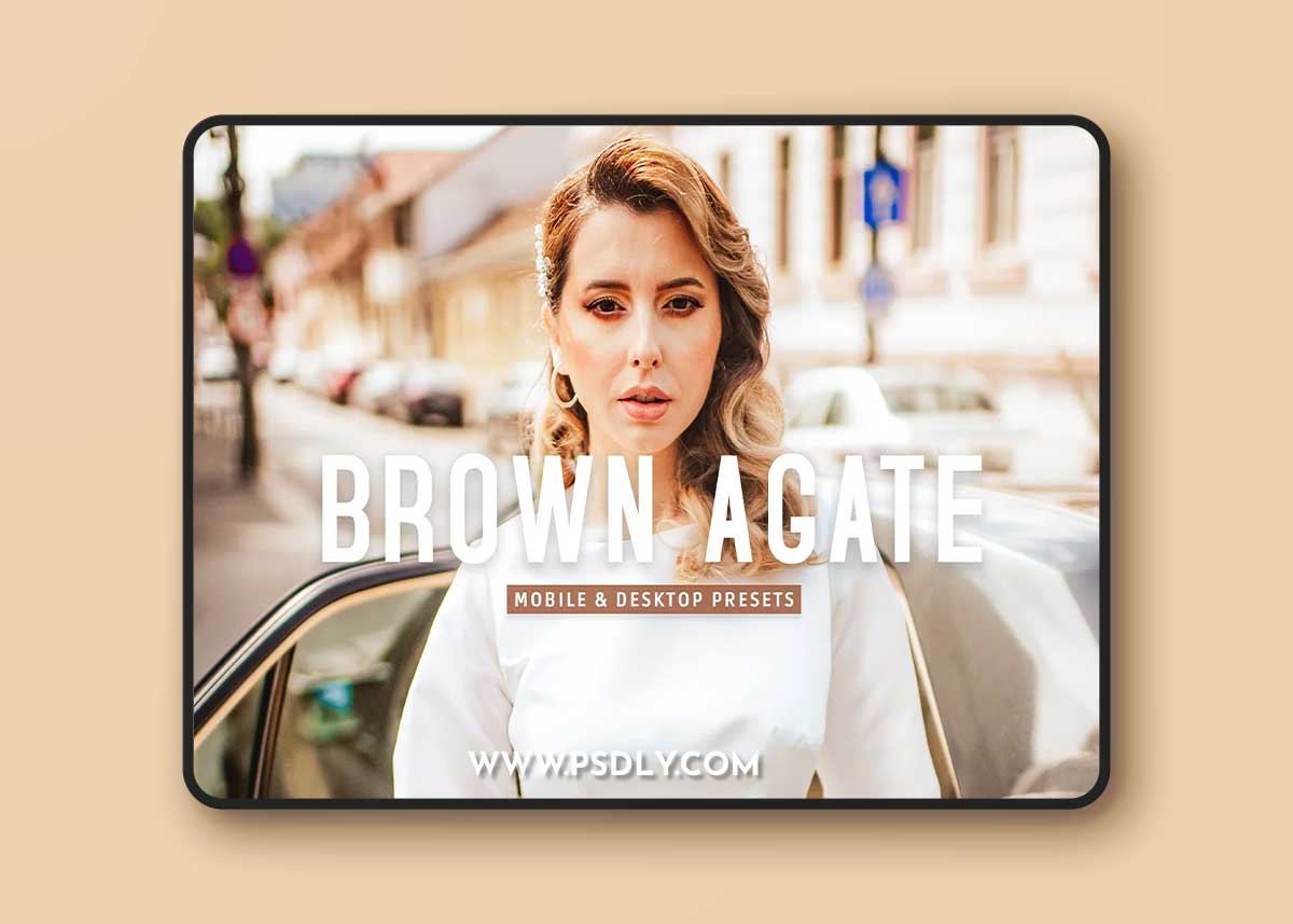 CreativeMarket - Brown Agate Pro Lightroom Presets 10846734
