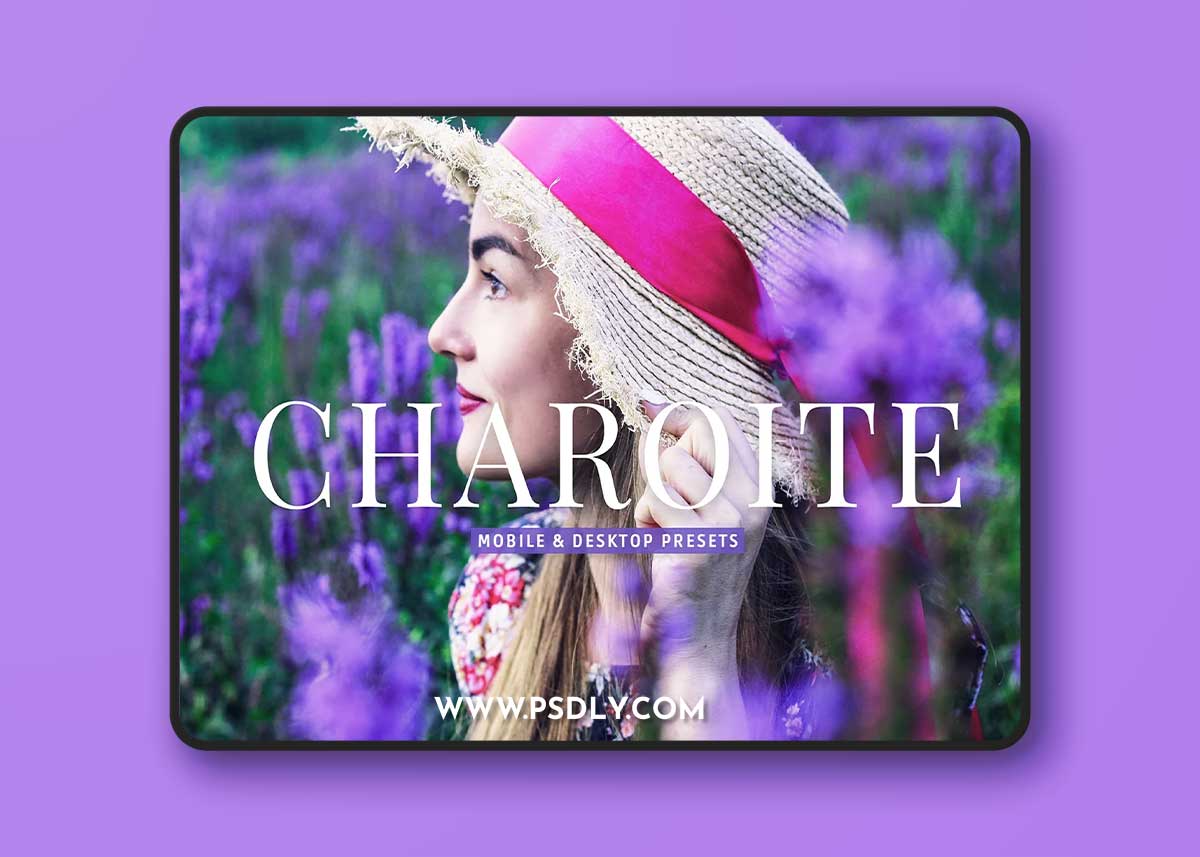 Creativemarket - Charoite Pro Lightroom Presets 10853057