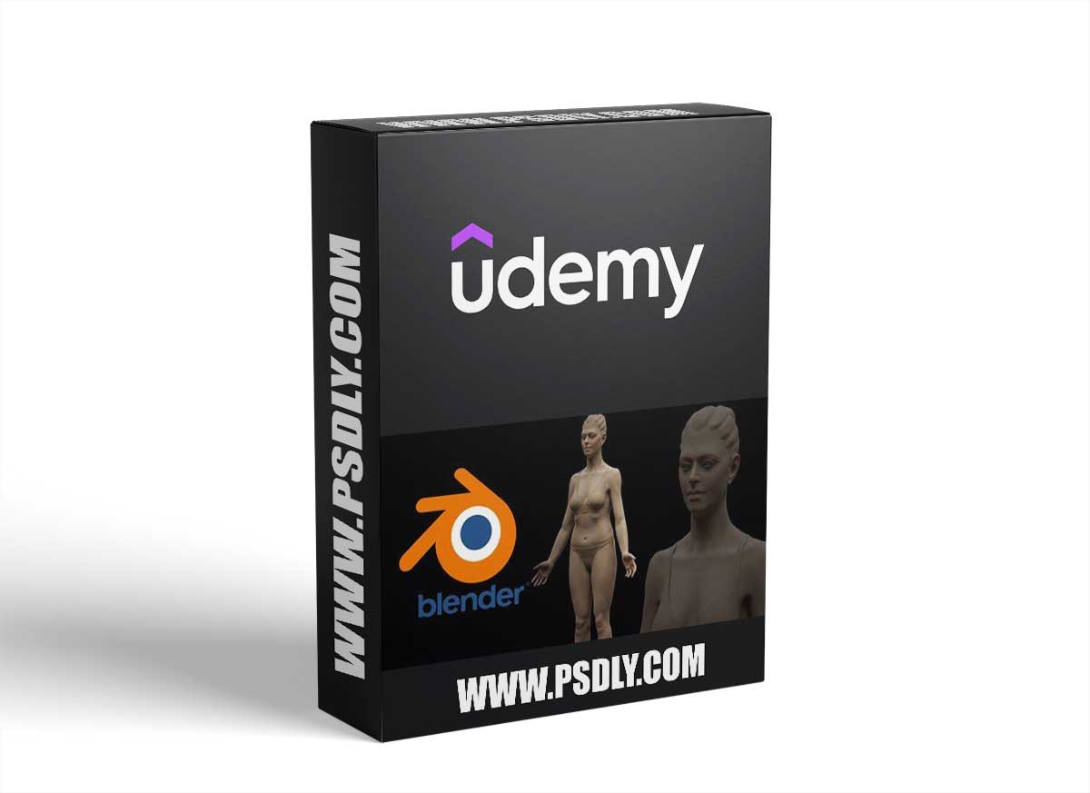 Female Anatomy Sculpting in Blender Course