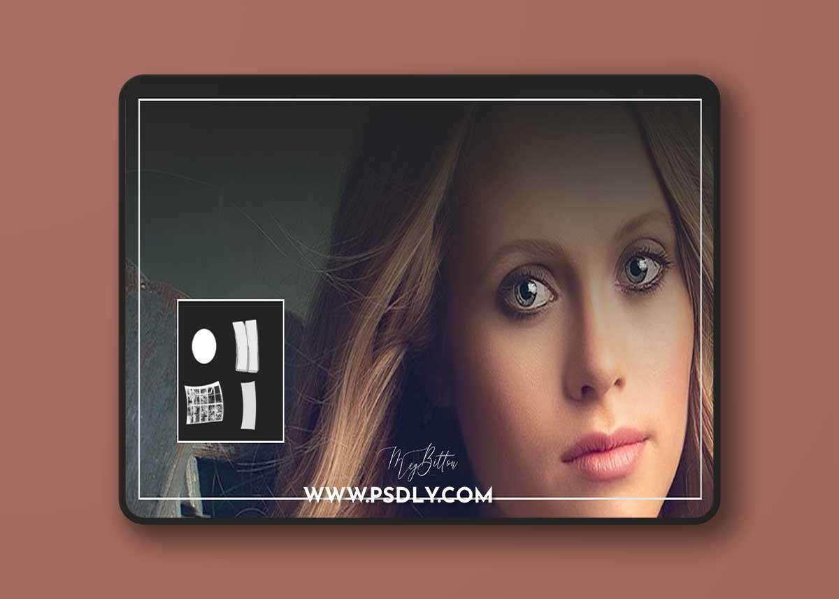 Meg Bitton - CatchLights Brush