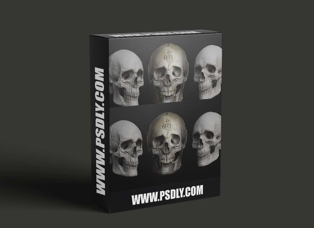 The Gnomon Workshop - Sculpting the Human Skull