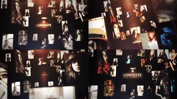 Videohive Elegant Logo Reveal 41829418