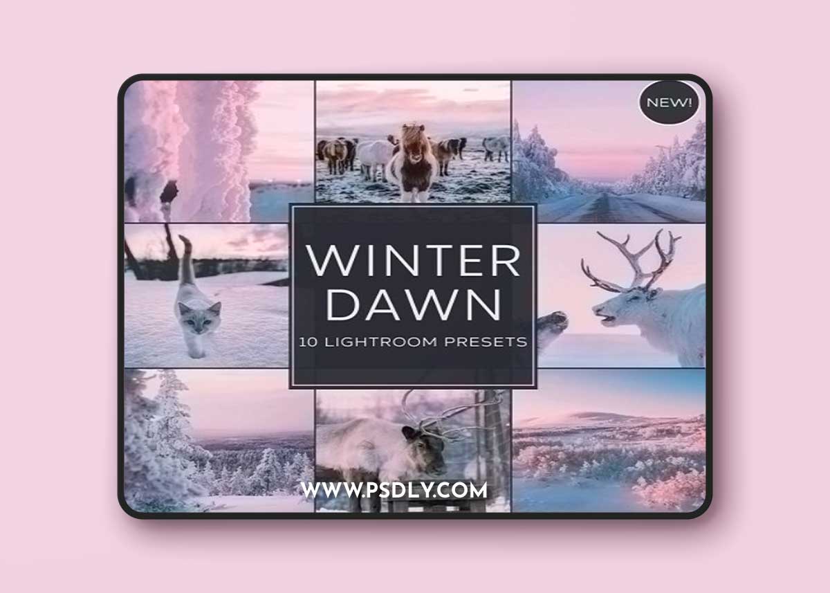 Woodland - Winter Dawn Lightroom Presets Pack