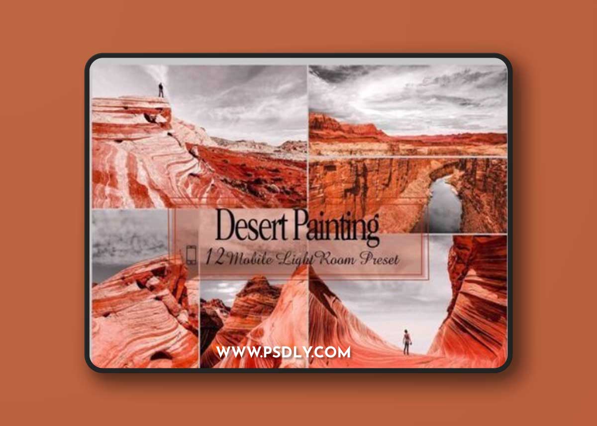 12 Lightroom Mobile Desert Painting