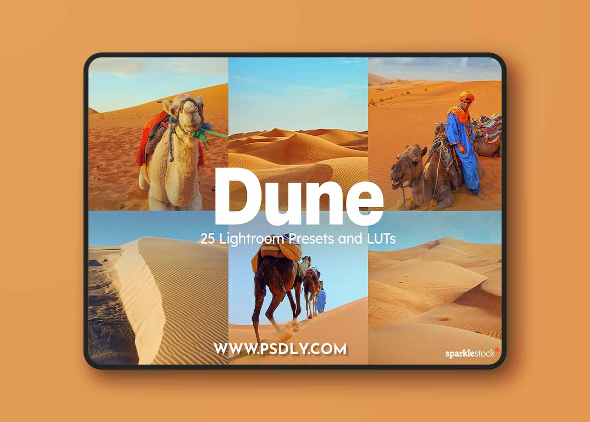 25 Dune Lightroom Presets and LUTs ZLXS2X4