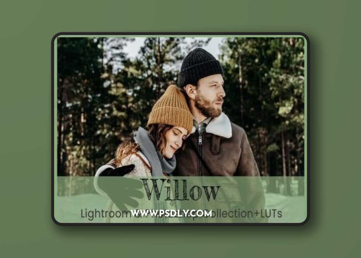 CreativeMarket - 8 Willow Photoshop Actions Winter Warm 10984120