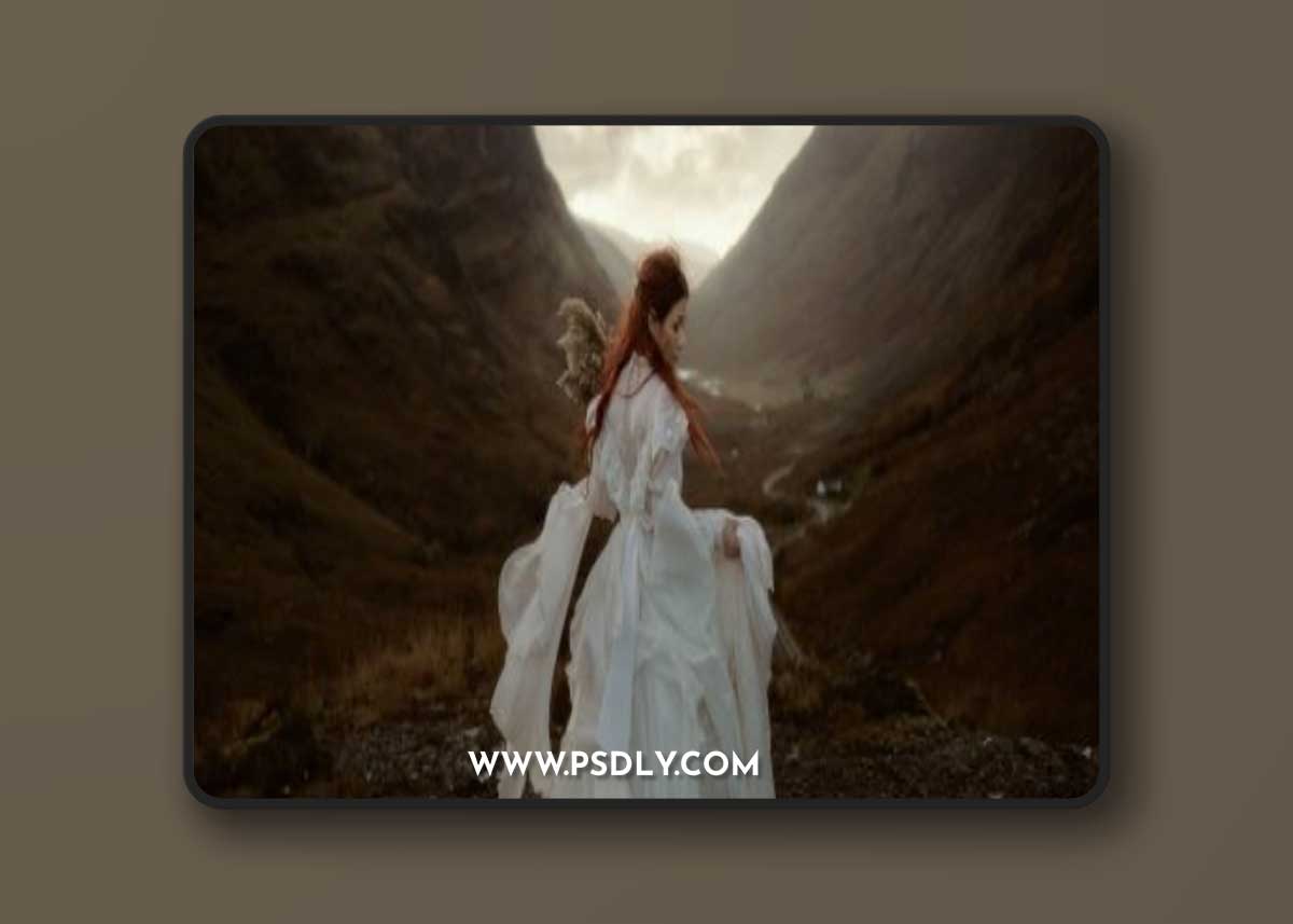 DVLOP X Profile (Update Nov/Dec 2022)