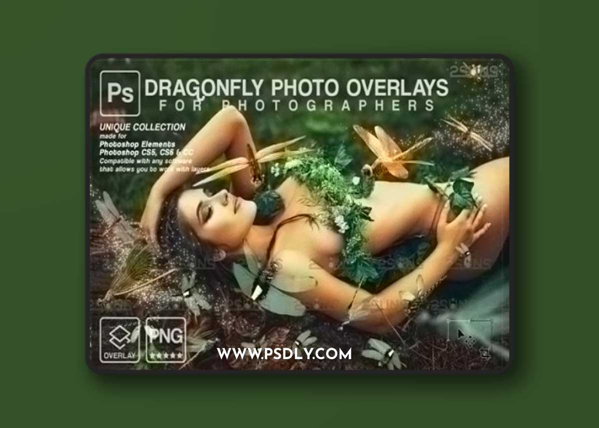 Dragonfly Photo Overlays Fireflies