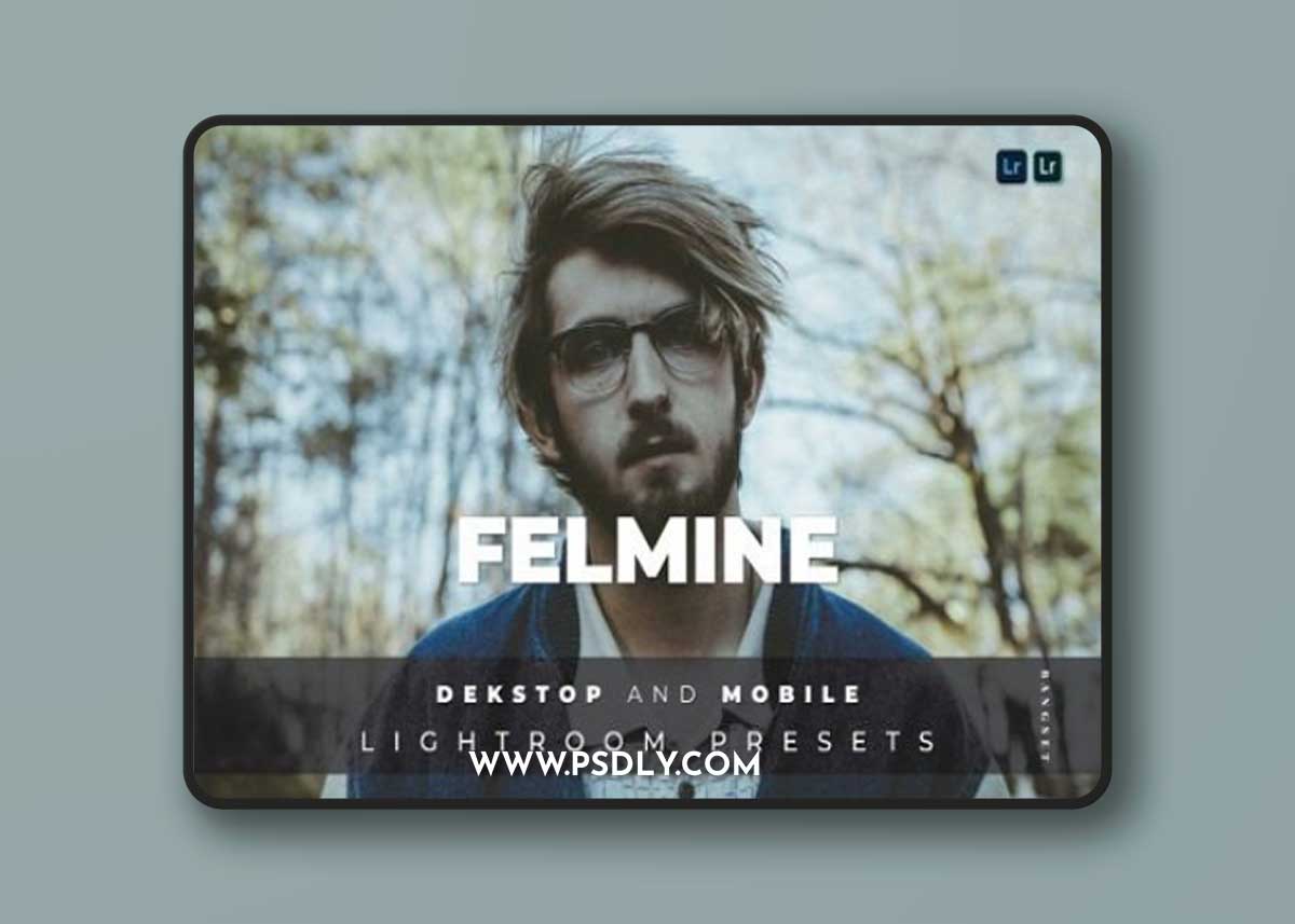 Felmine Lightroom Presets