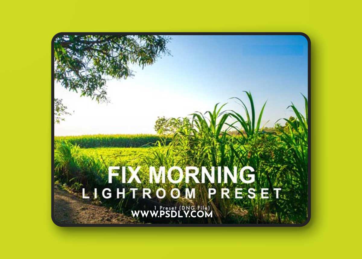 Fix Morning - Lightroom Preset