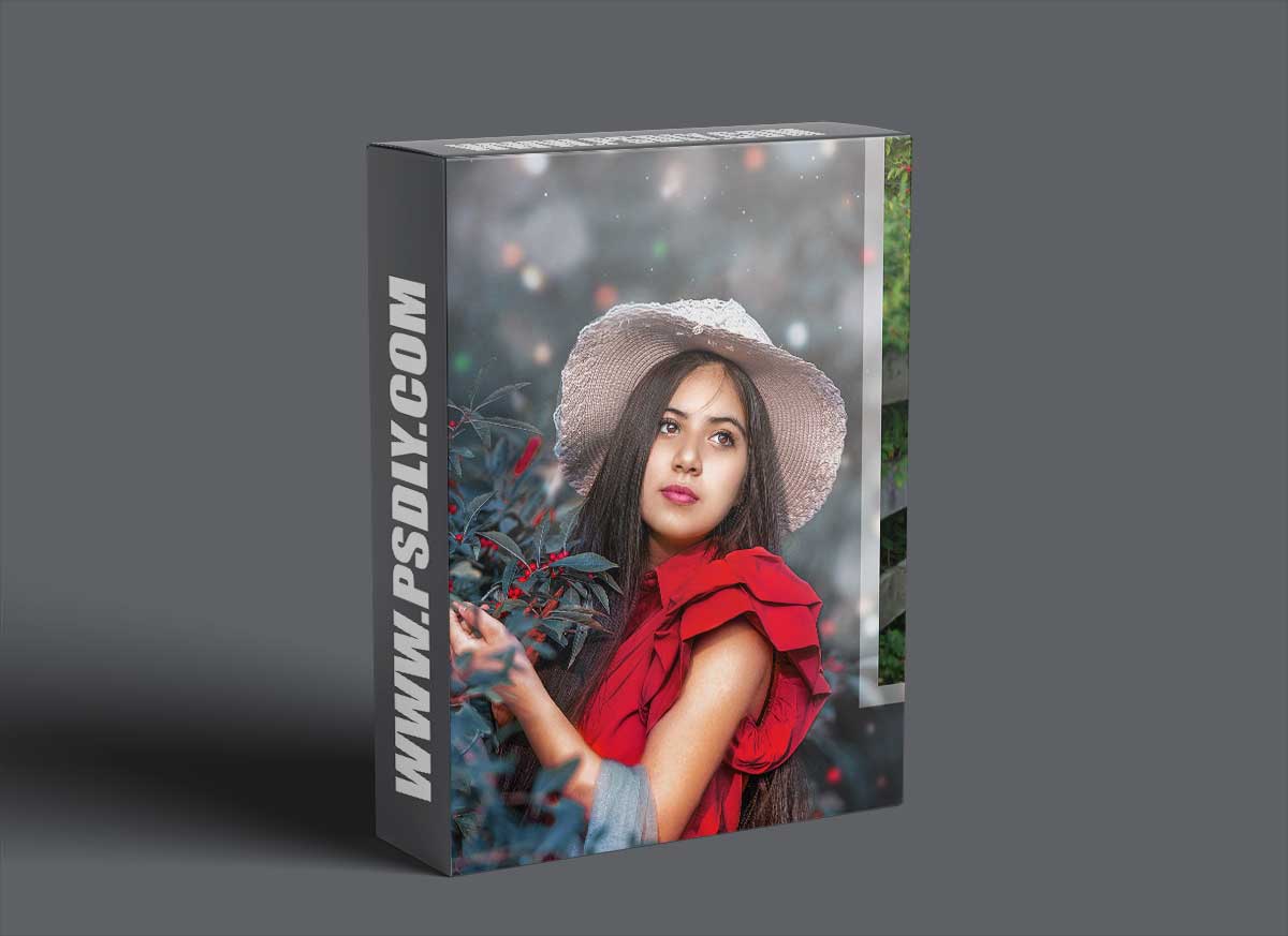 Lisset Perrier - Feelings of Christmas